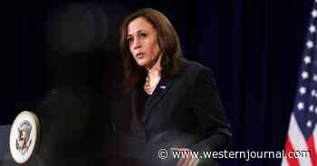 2024 Trouble: Dems Despair as Swing State Voters Give Brutally Honest Thoughts on VP Harris