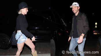 Hayden Panettiere parties with ex-boyfriend Brian Hickerson over a year after abuse allegations against him