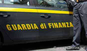 Ardea, Guardia di Finanza scopre una piantagione di marijuana: in manette un agricoltore - La Notizia.net