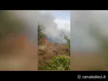 Ardea: i roghi tossici rendono l’aria irrespirabile (VIDEO) - Canale Dieci