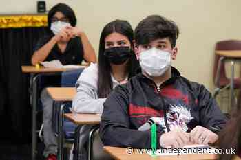 Texas and Florida see rise in child coronavirus hospitalisations - The Independent