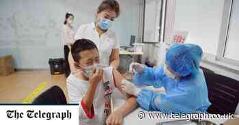 Schools face 'disruption' if child vaccines are rejected, Sage expert suggests - Telegraph.co.uk