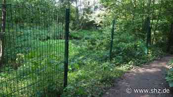 Regenrückhaltebecken Ohrtbrook: Uetersen/Tornesch: Der Zaun wurde an sechs Stellen zerstört | shz.de - shz.de