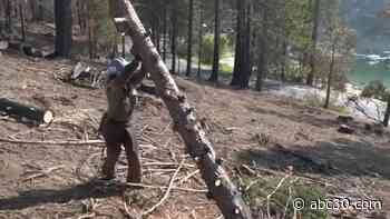 Community members grab chainsaws to protect Shaver Lake from wildfires