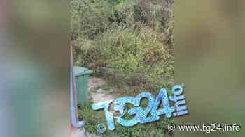 Paliano – Sterpaglie ed erba alta al Poliambulatorio (FOTO) - TG24.info