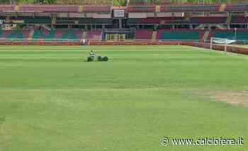 Ternana, l'erba del Liberati migliora - Calcio Fere