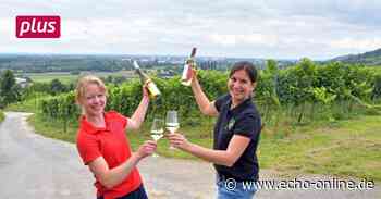 Bensheimer Weinwoche strahlt nach Heppenheim aus - Echo Online