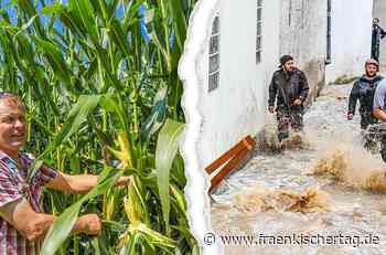 Bilanz: In Bamberg hat es so viel geregnet wie in den letzten elf Jahren nicht mehr. - Fraenkischer Tag