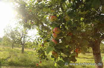 Landkreis Bamberg: 'Gartengespräche' finden im September statt - inFranken.de
