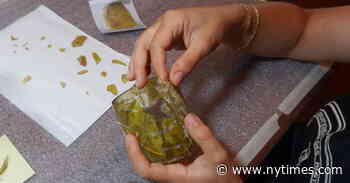 Putting Pieces of Beirut’s Past Back Together