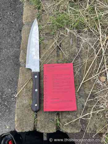 Sydenham police find large knife during patrols