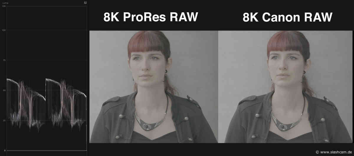 Test: EOS R5 und Ninja V+: Canon vs ProRes RAW in der Praxis: Belichtung, Hauttöne, Postpro - slashCAM