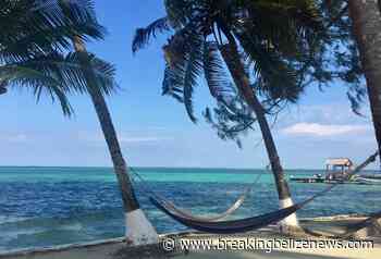 Belize reworks Maya Forest carbon deal - Breaking Belize News