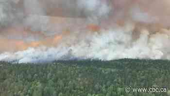 Quetico Provincial Park backcountry remains closed due to forest fire situation - CBC.ca