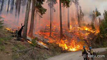 Bull Complex grows to nearly 13,200 acres in Mt. Hood National Forest, 7% contained - KATU