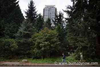 Burnaby resident is vowing to continue fighting against Kathleen Forest mega-rental tower despite it being approved - Burnaby Now