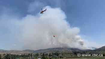 Why some wildfire-adjacent homes are uninsurable; U.S. land border still closed: CBC's Marketplace Cheat Sheet