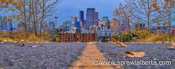 What's at stake this October: A Calgary election issues primer - The Sprawl