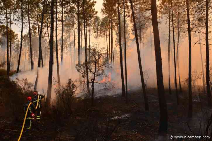 Radicalisme écolo, débroussaillement interdit... aux origines du gigantesque incendie dans le Var de l'été. Notre enquête