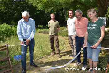 Bijen voelen zich weer thuis in Hof van Coolhem