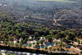 Incendie dans le Var: la forte végétation responsable de la propagation du feu? Le grand flou autour des responsabilités