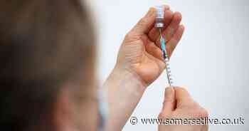 Somerset coronavirus latest as 533 cases recorded in a day - Somerset Live