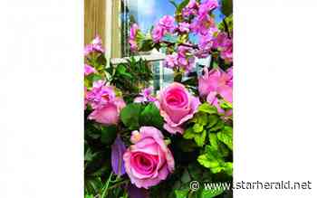 The Gestalt Gardener: Artificial plants do have their place in gardening - Kosciusko Star Herald