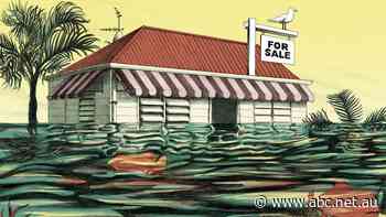 Dreaming of a Queensland sea change: Beautiful one day, uninsurable the next?