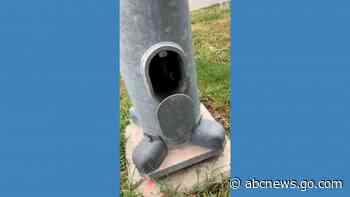 WATCH:  Kitten found trapped inside light pole in Nebraska