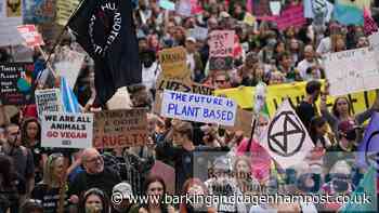 Steve Allen on London's Extinction Rebellion eco-protests - Barking and Dagenham Post