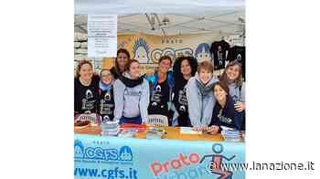 My Prato urban run Una caccia al tesoro per le vie del centro - LA NAZIONE