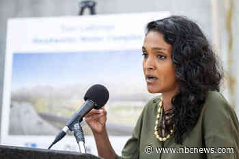 She helped impoverished communities in India. Now Nithya Raman wants to help L.A.