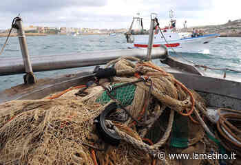 Scatta fermo pesca su Tirreno e Ionio per 30 giorni, ripresa l'attività nell'Adriatico - Il Lametino