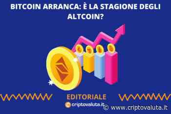 Bitcoin fermo | Parte la stagione altcoin di SOL, ETH, AVAX, MATIC - Criptovaluta.it