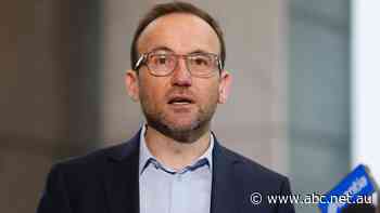 Big companies would face 40 per cent hit under new Greens 'tycoon tax'