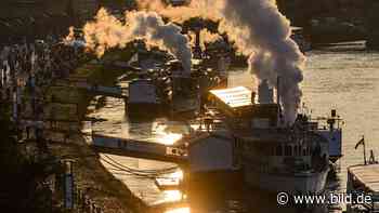Dresden: Kurioses Klassik-Konzert mit Sinfonikern und Schiffspfeifen - BILD
