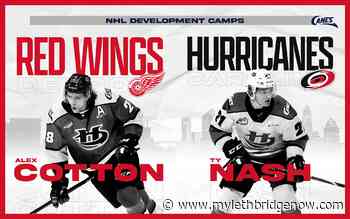 Pair of Lethbridge Hurricanes to attend NHL Rookie Camps this month - My Lethbridge Now