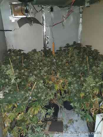 Dudley cannabis farm raided by police - Dudley News