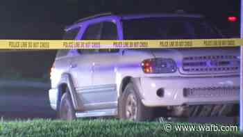Brothers steer car to safety after dad fatally shot on Houston freeway - WAFB