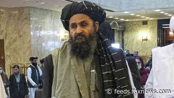 Taliban co-founder ‘Baradar the Butcher’ to reportedly lead new Afghan government