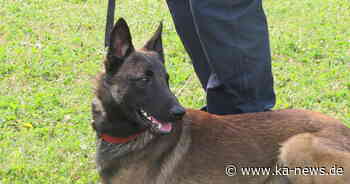 Polizeikontrolle in Bruchsal: 25-Jähriger leistet Widerstand und greift Polizeihund an - ka-news.de