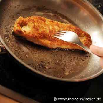 Sahne, Senf und Pflanzenmilch: Panieren geht auch ohne Ei - radioeuskirchen.de