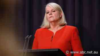 Companies that profited from JobKeeper should do some 'soul-searching', minister says