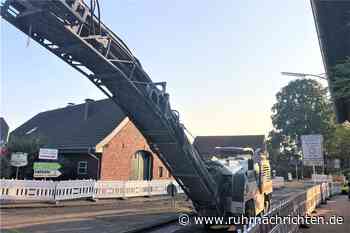 Fällungen am Straßenrand: Bäume wurden mit Säure attackiert - Ruhr Nachrichten