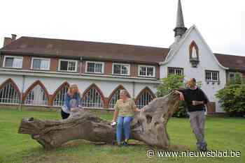 Herne Kunst'Telt zet kunstroute uit - Het Nieuwsblad