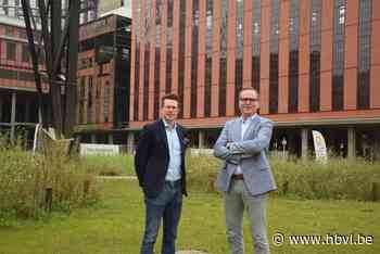 Be-Mine viert tiende verjaardag en heel Beringen mag meevieren - Het Belang van Limburg