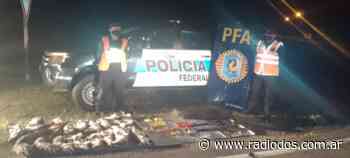 La policía Federal secuestró en Desmochado armas y animales faenados - Radio Dos Corrientes