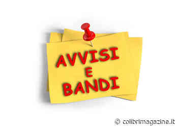 Santa Maria Capua Vetere, concorso per 7 assistenti sociali - Il Colibrì