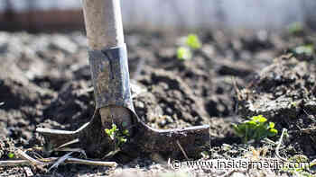 St Helens allotments site home scheme set for approval - Insider Media