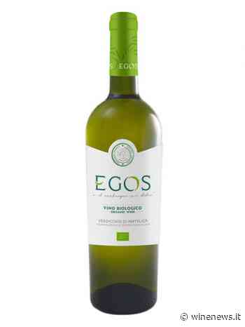 Pro.vi.ma, Doc Verdicchio di Matelica Egos 2020 - WineNews